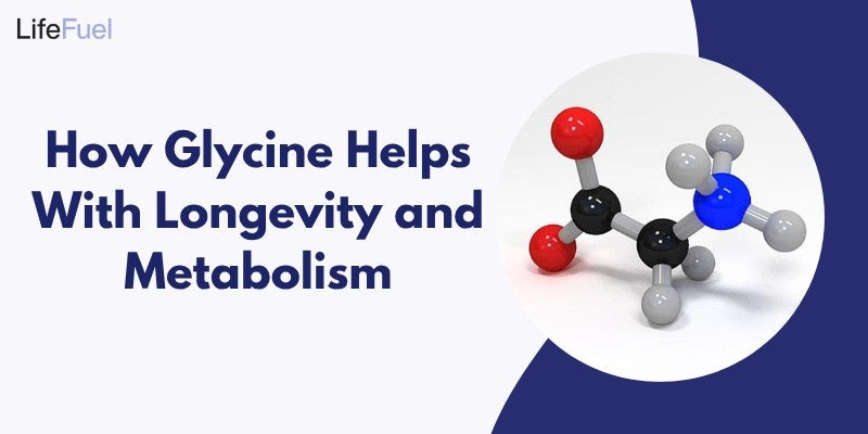 Glycine Helps With Longevity and Metabolism