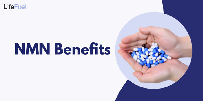 Benefits of Spermidine