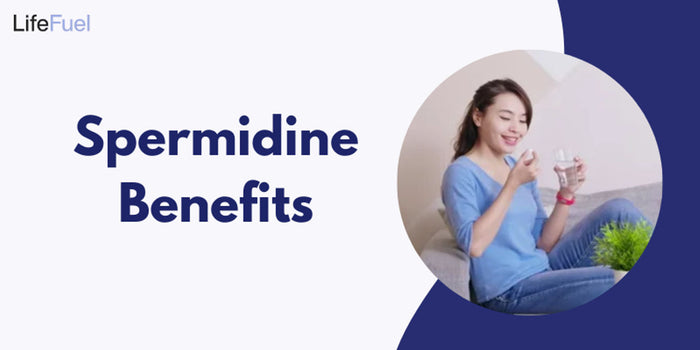 Best Time To Take TMG Supplement