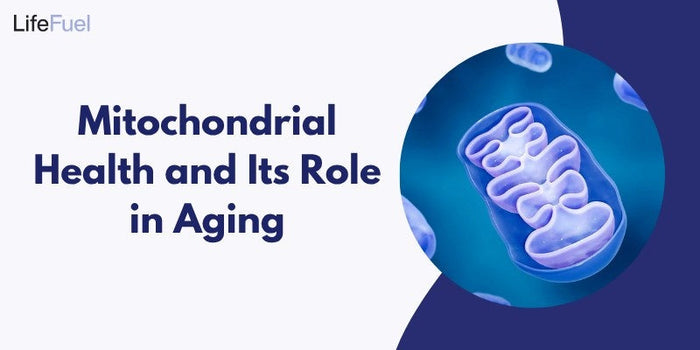 Mitochondrial Health and Its Role in Aging