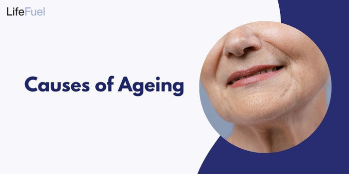 Main Causes of Aging and How to Slow It
