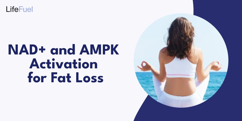 NAD+ and AMPK Activation