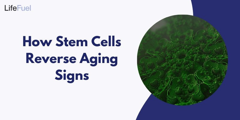 How Stem Cells Reverse Aging Signs?