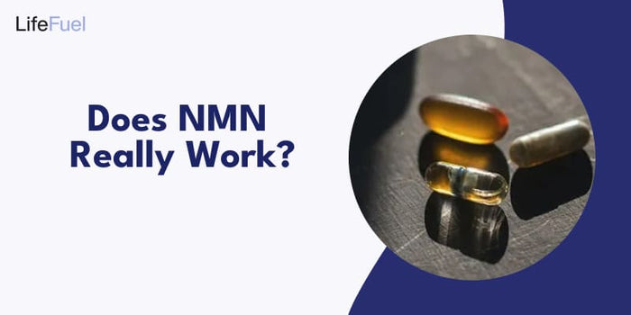 does-nmn-really-work