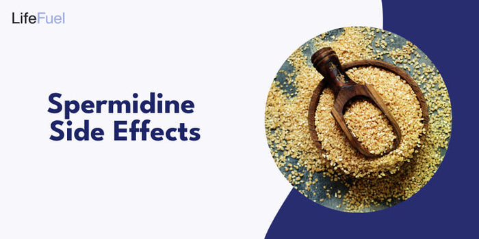 Spermidine Side Effects