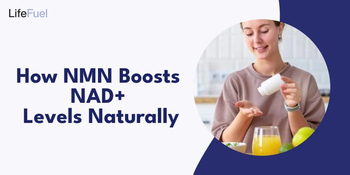 NMN Boosts NAD+ Levels