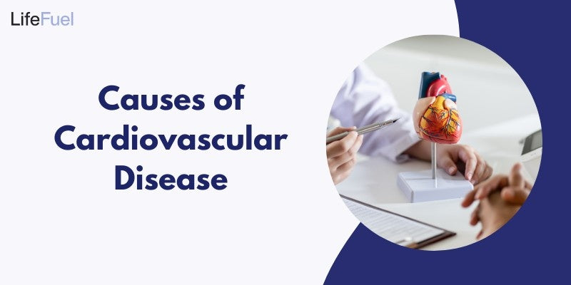 Understanding the Causes of Cardiovascular Disease