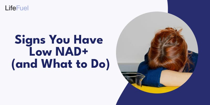 Signs You Have Low NAD+