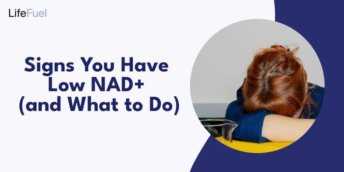 Signs You Have Low NAD+