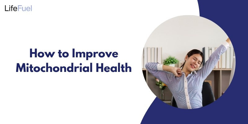 How to Improve Mitochondrial Health