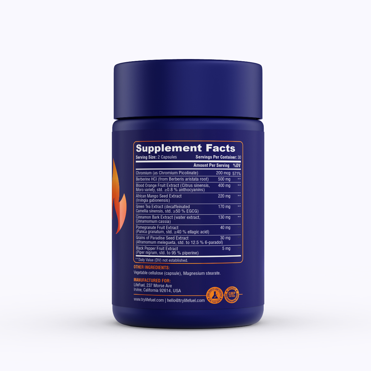 LifeFuel Metabolic Burn+