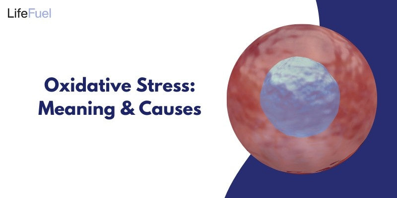 Oxidative Stress: Meaning & Causes