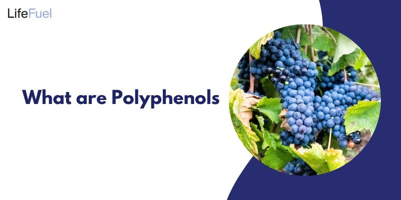 What are Polyphenols: Types, Benefits & Foods