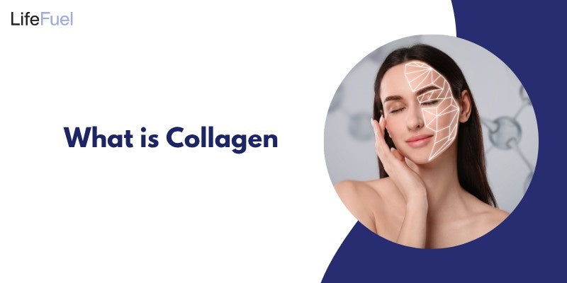 What is Collagen: Types, Function & Benefits
