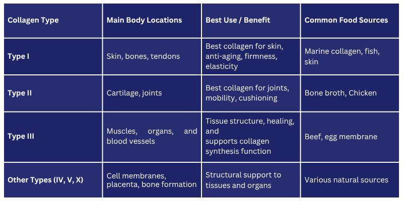 Types of Collagen