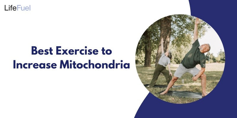 Which Exercises Help to Boost Your Mitochondria?