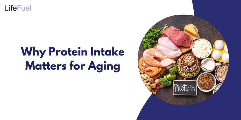 Why Protein Intake Matters for Aging?
