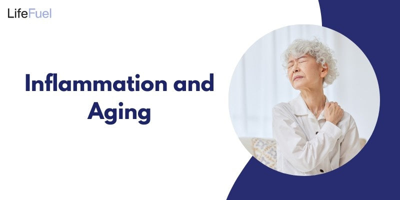 Inflammation and Aging: Key Facts You Need