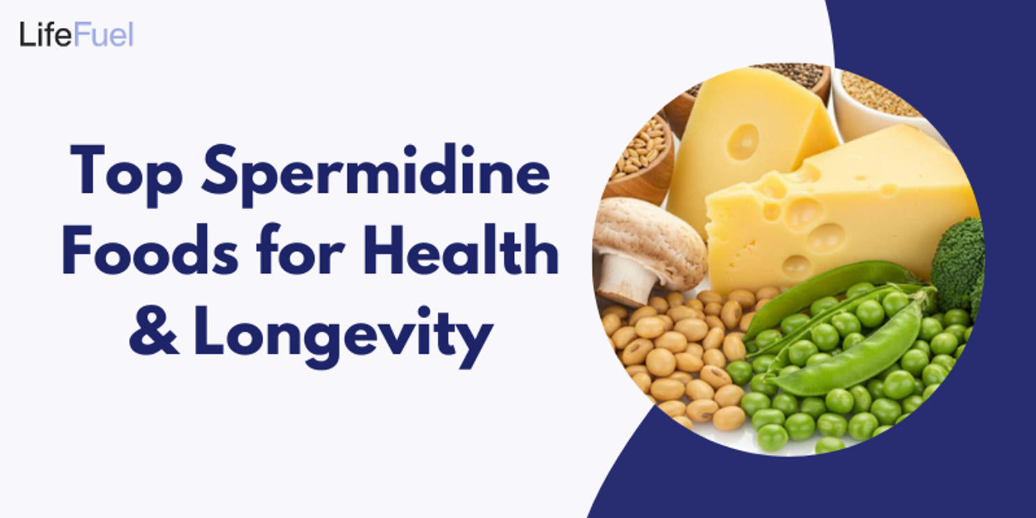 Top Spermidine Foods for Health & Longevity