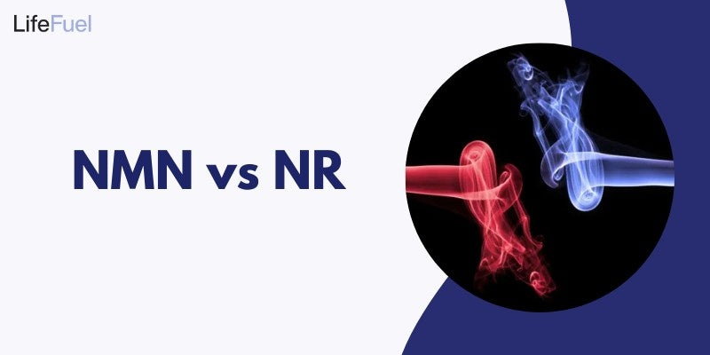NMN Vs NR