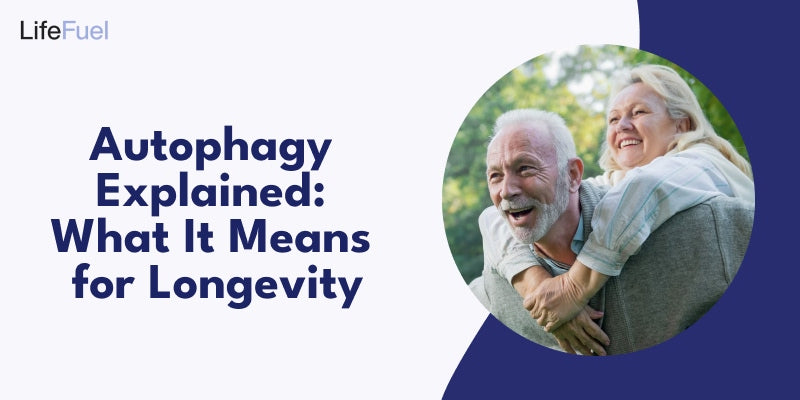 Autophagy Explained: What It Means for Longevity