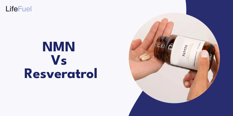 NMN Vs. Resveratrol - Which is the Best?