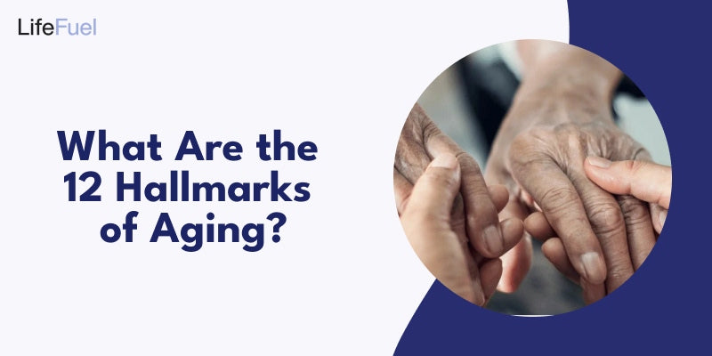 What Are the 12 Hallmarks of Aging?