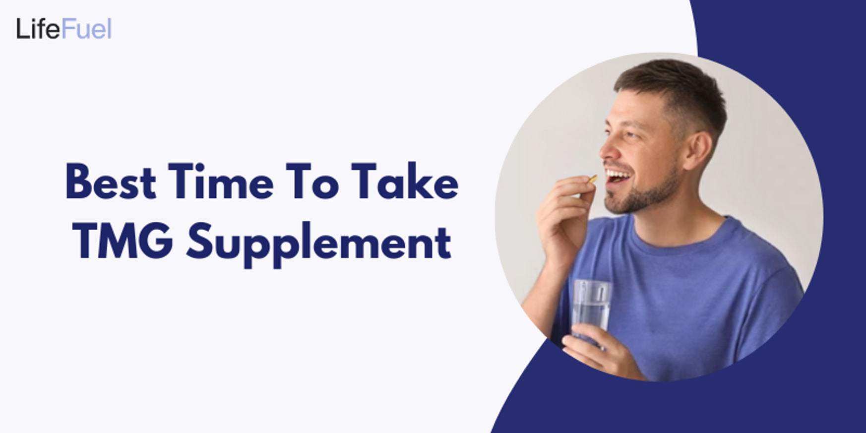 Best Time To Take TMG Supplement